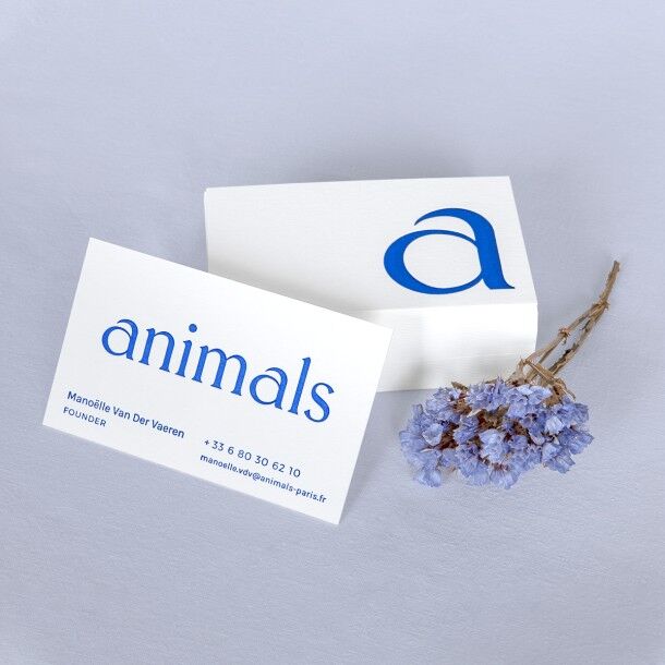 Animals