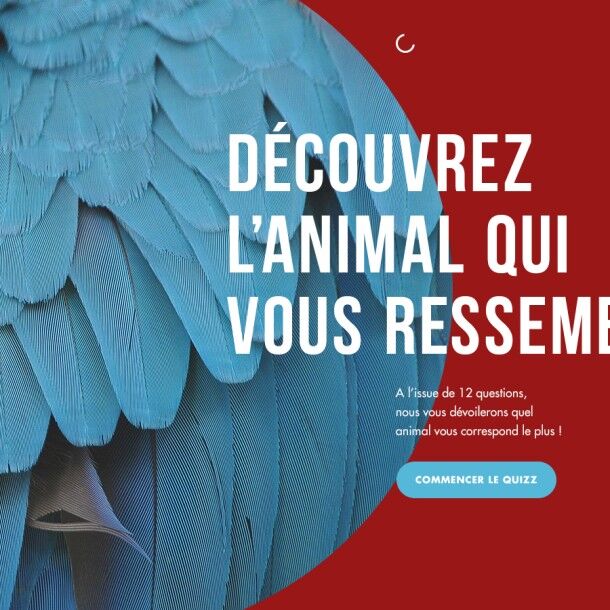ARTE Animaux