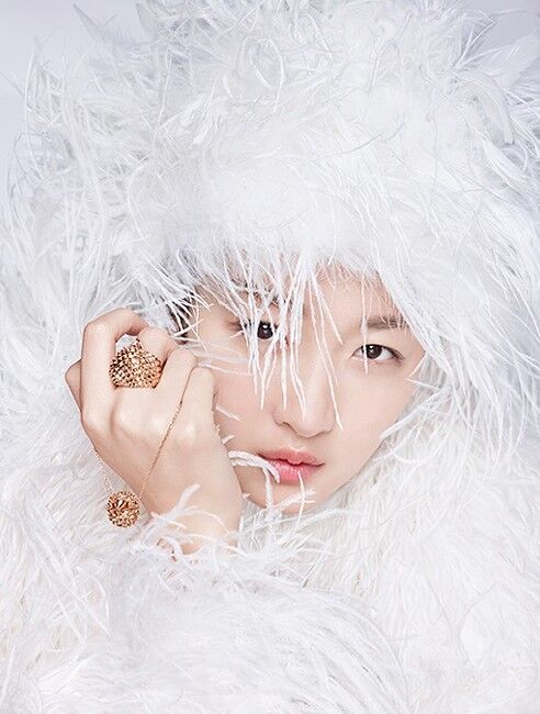 Boucheron