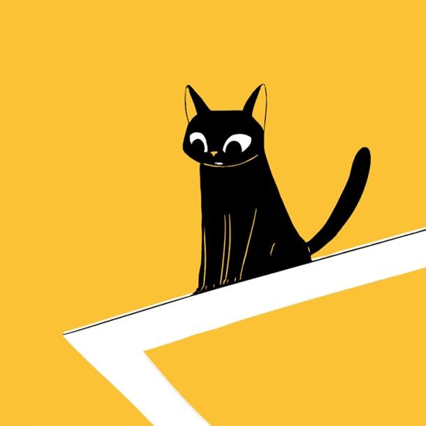 Chat & équilibre