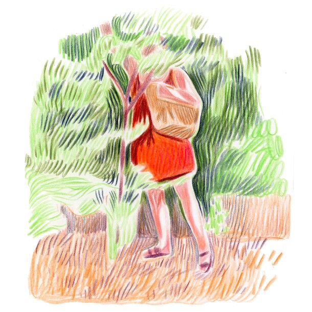 Croquis
