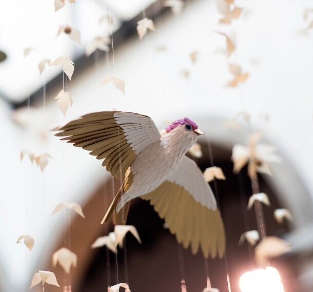 Dancing Swallows