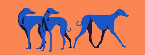 Dogs