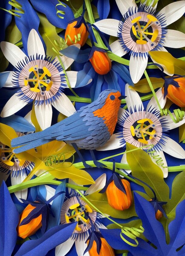 PASSIFLORE