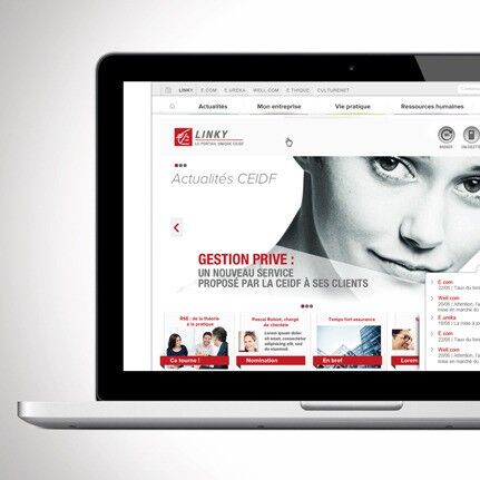 Intranet Link-e