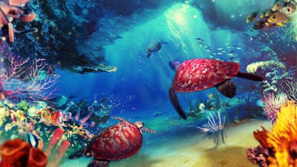 Seaworld