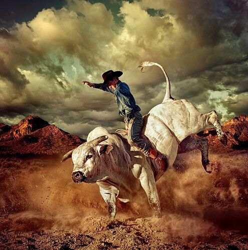 Cowboy