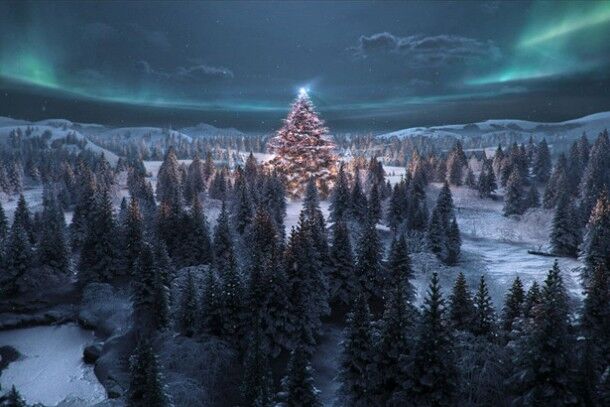 Cartier Winter Tale