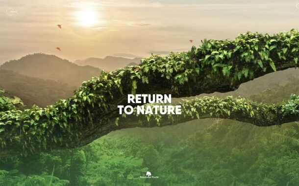 Rainforest Food experience