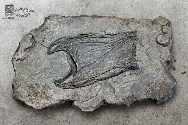 Surfrider / Fossile