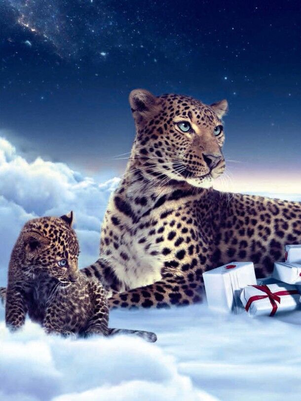 Winter Tale - Cartier