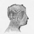 Maxime Sudol