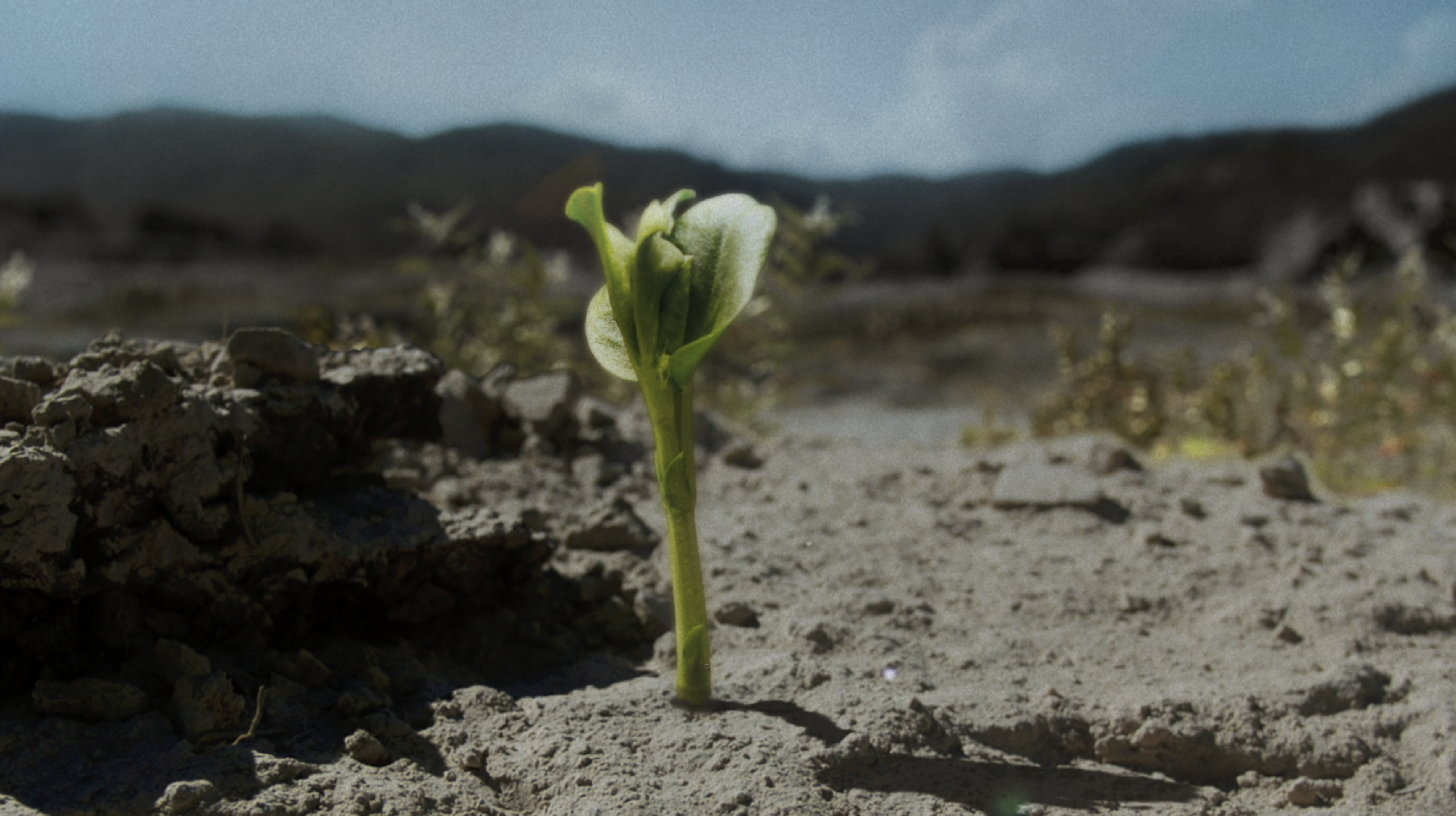 MOODTAPE | BELMOND | MAROMA