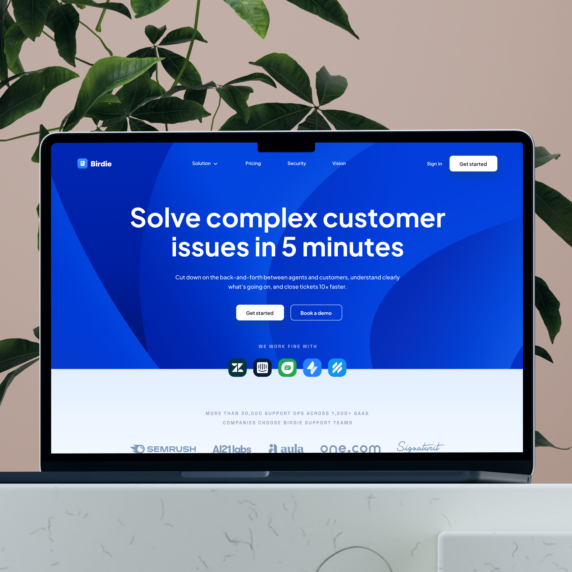 Birdie | Identity & Website Design