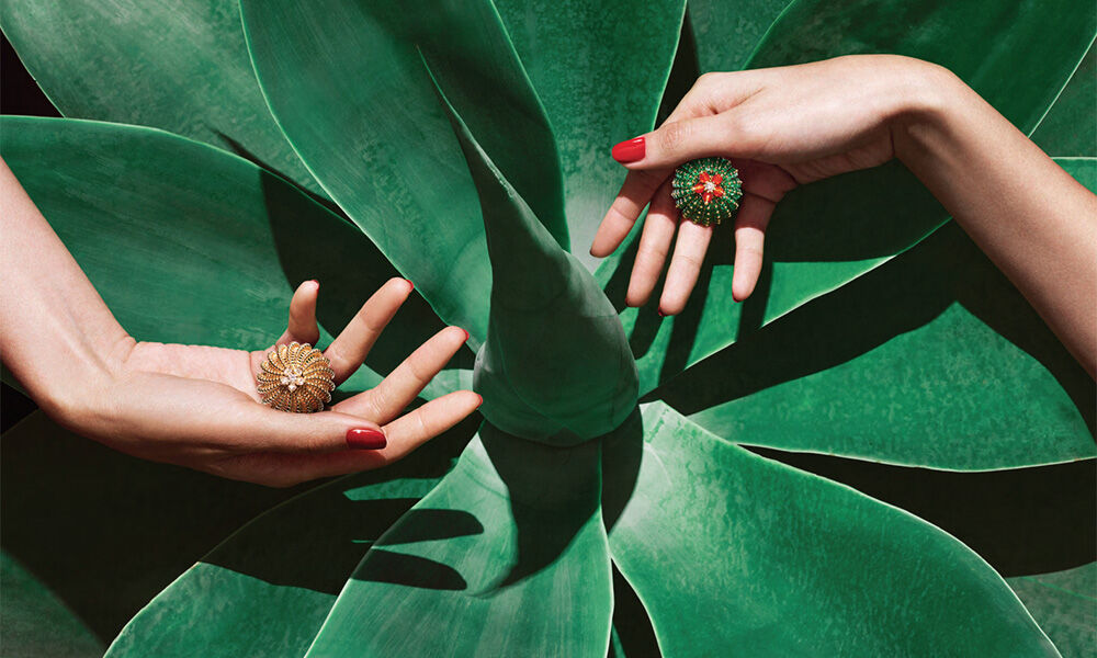 Cactus Cartier