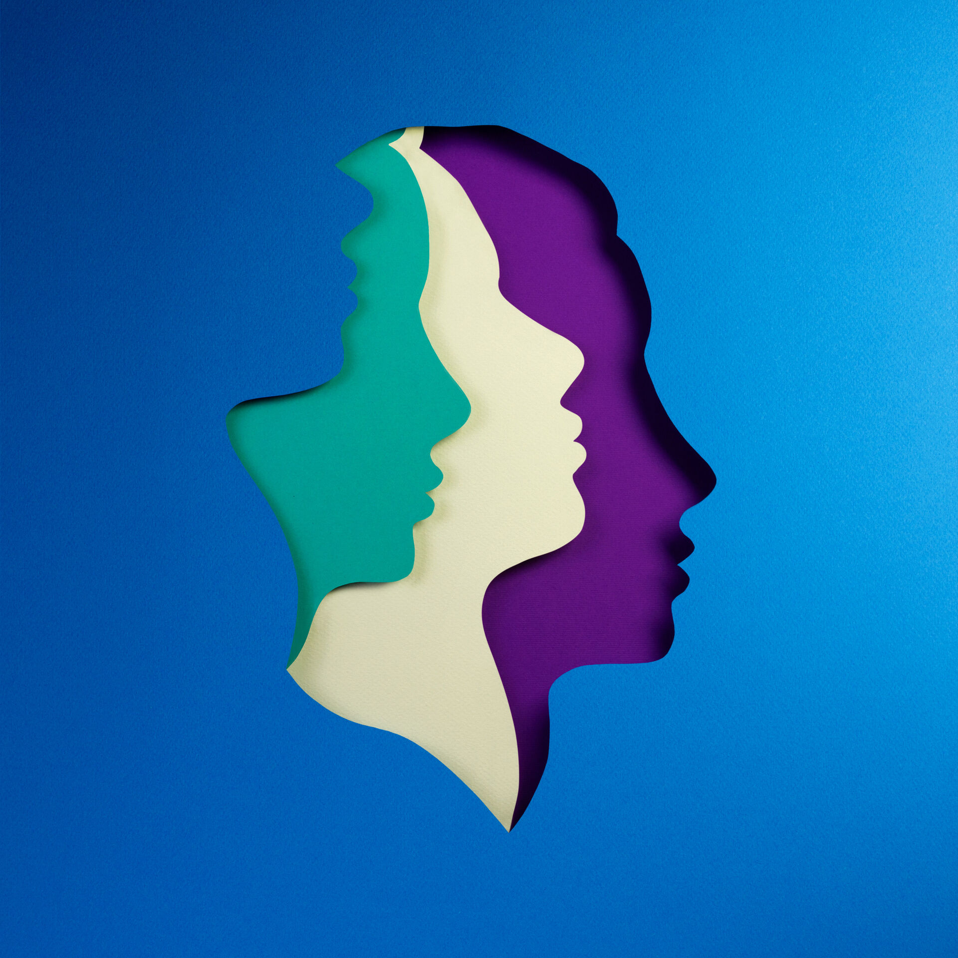 Éditions Maison des Langues’ Covers