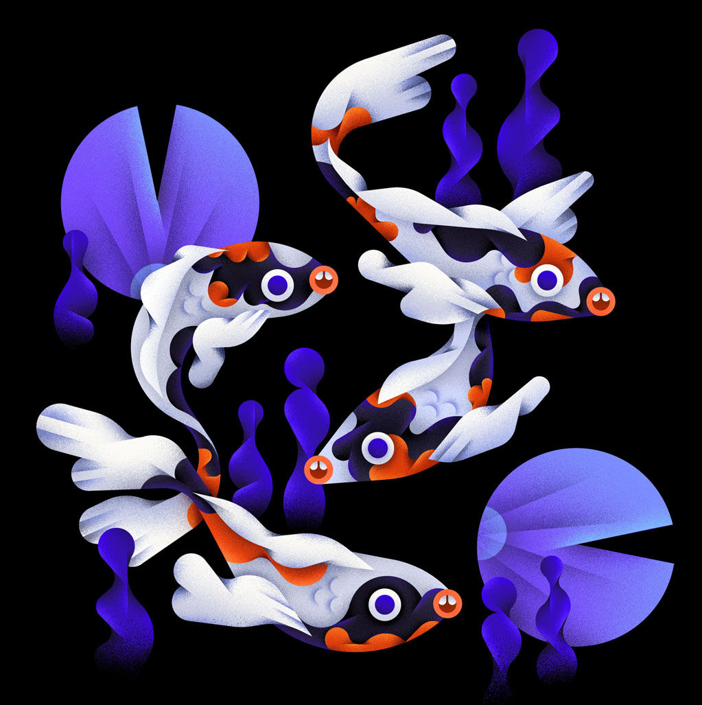 Poisson Koi