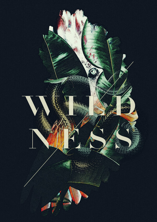 WILDNESS